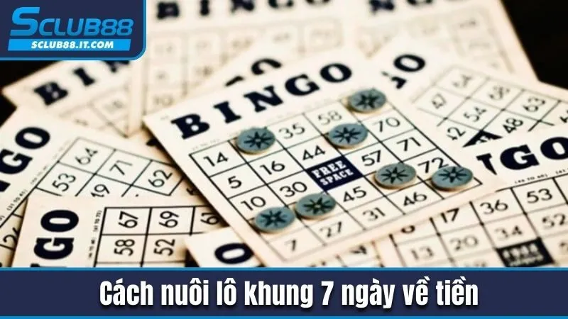 Lô Tô Cặp - Phương Pháp Nuôi Lô Trúng Lớn Từ Chuyên Gia 4 Cách nuôi lô khung 7 ngày về tiền