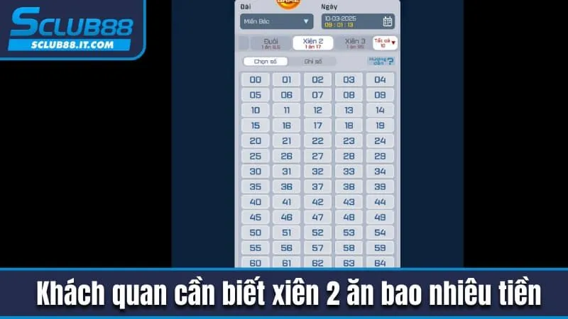 Xiên 2 Ăn Bao Nhiêu Tiền? Tìm Hiểu Cách Tính Đúng Chuẩn 2 Khách quan cần biết xiên 2 ăn bao nhiêu tiền